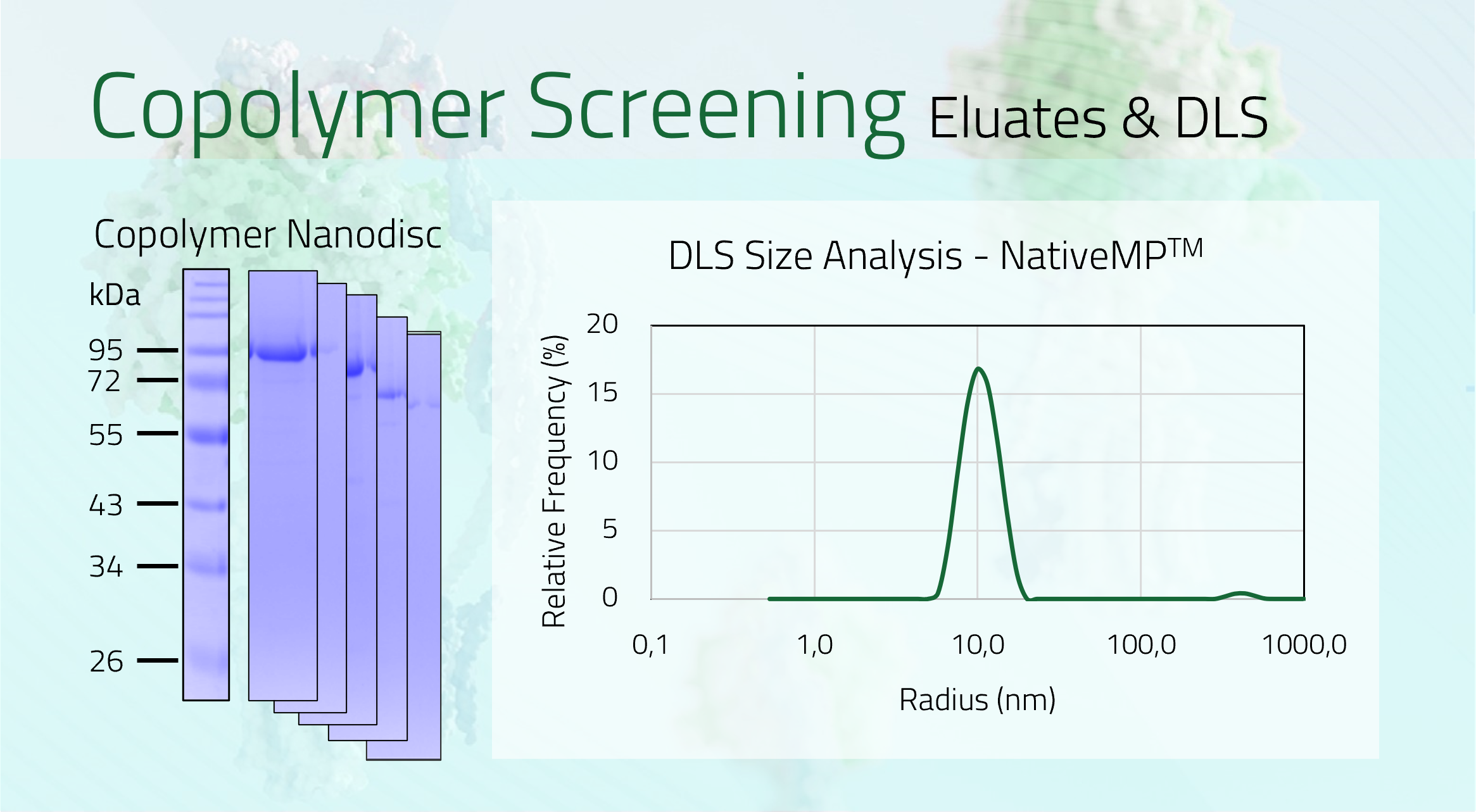 HERG Eluate +DLS